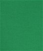 Kelly Green Cotton Flannel Fabric