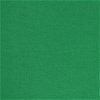 Green Flannel Fabric - Image 1