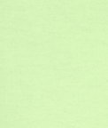 Mint Green Cotton Flannel Fabric