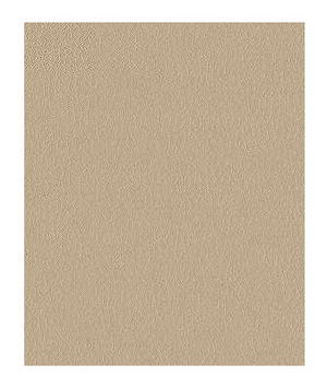 Kravet FORTUNE.16 Fabric