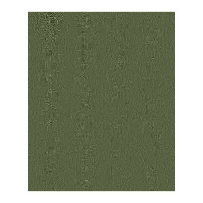 Kravet FORTUNE.30 Fabric