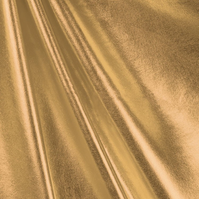Gold Foil Metallic Spandex Fabric image 1 of 1