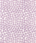 Premier Prints Freedom Orchid Slub Canvas Fabric