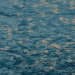 Gala 110" Ink Fabric