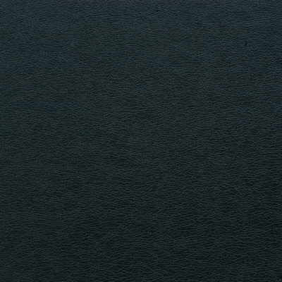 Kravet GALLEON.50 Fabric