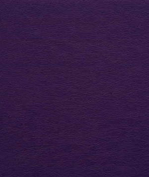 Kravet GATO.10 Fabric