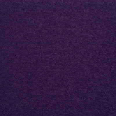 Kravet GATO.10 Fabric