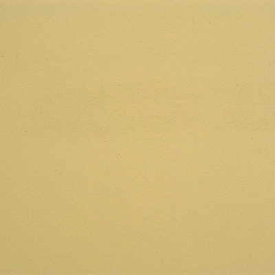 Kravet GATO.16 Fabric