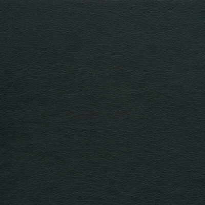 Kravet GATO.21 Fabric
