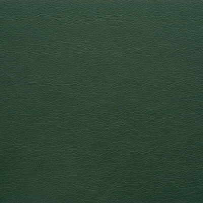 Kravet GATO.303 Fabric