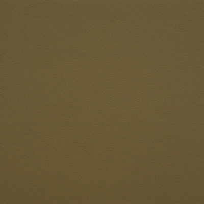 Kravet GATO.30 Fabric