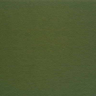 Kravet GATO.35 Fabric