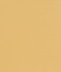 Kravet GATO.404 Fabric