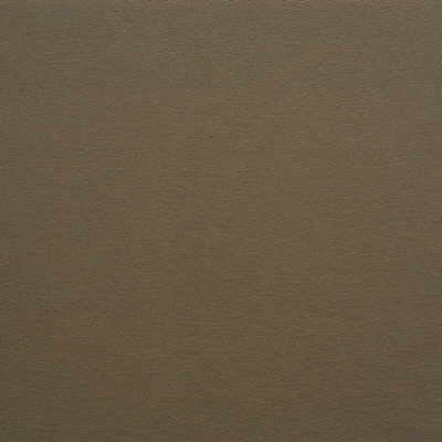 Kravet GATO.621 Fabric
