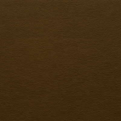 Kravet GATO.66 Fabric