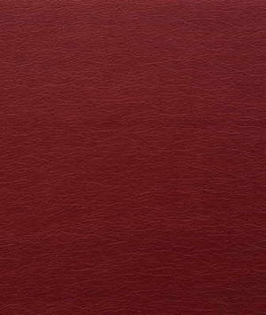 Kravet GATO.909 Fabric