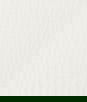 Ivory Double Cotton Gauze Fabric