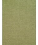Gastón y Daniela GDT5063.026 Genova Verde Manzana Fabric