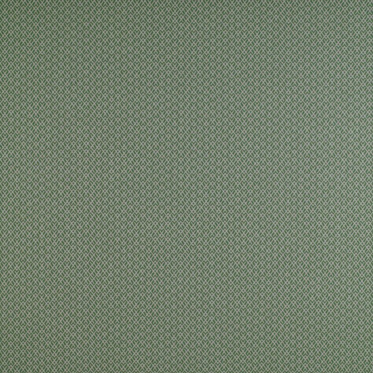 Gastón y Daniela GDT5205.014 Chueca Verde Fabric