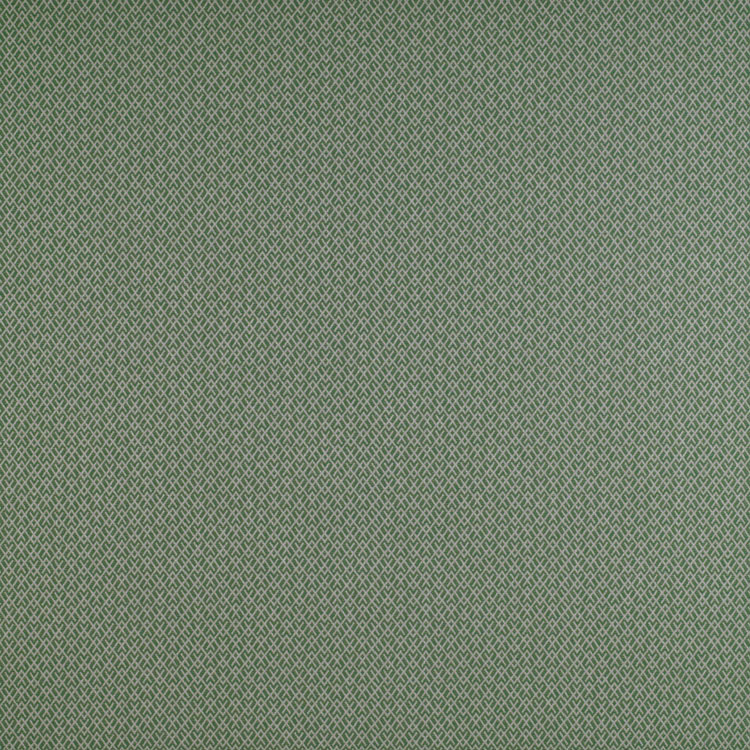 Gastón y Daniela GDT5205.014 Chueca Verde Fabric