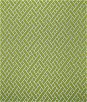 Gastón y Daniela GDT5374.4 Nairobi Verde Fabric