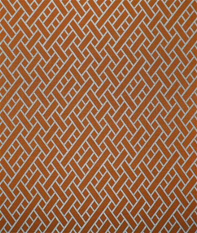 Gastón y Daniela GDT5374.5 Nairobi Naranja Fabric