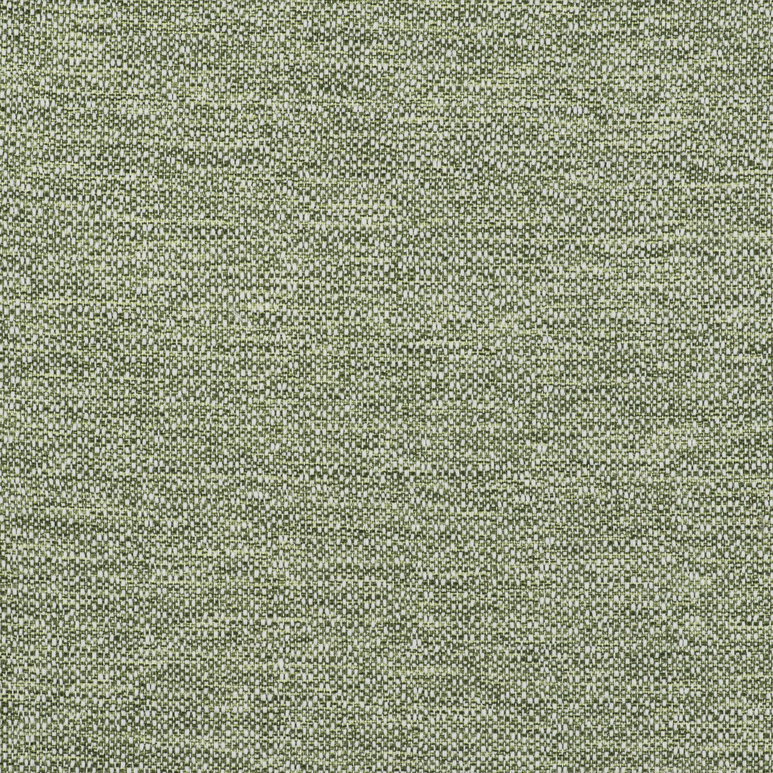 Gastón y Daniela In Verde Fabric