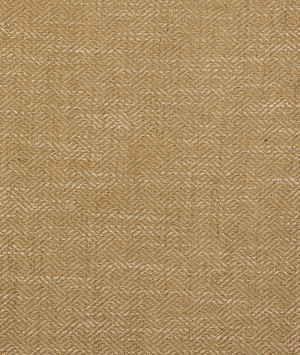 Gastón y Daniela Enea Oro Fabric