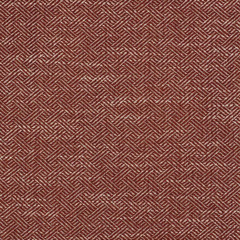 Gastón y Daniela Enea Naranja Fabric