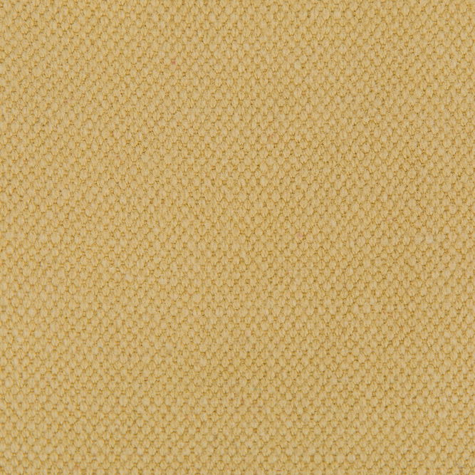 Gast&#243;n y Daniela Lima Oro Fabric