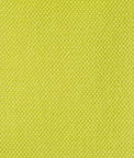 Gastón y Daniela Lima Apple Green Fabric
