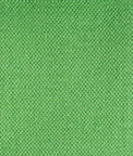 Gastón y Daniela Lima 011 Verde Fabric