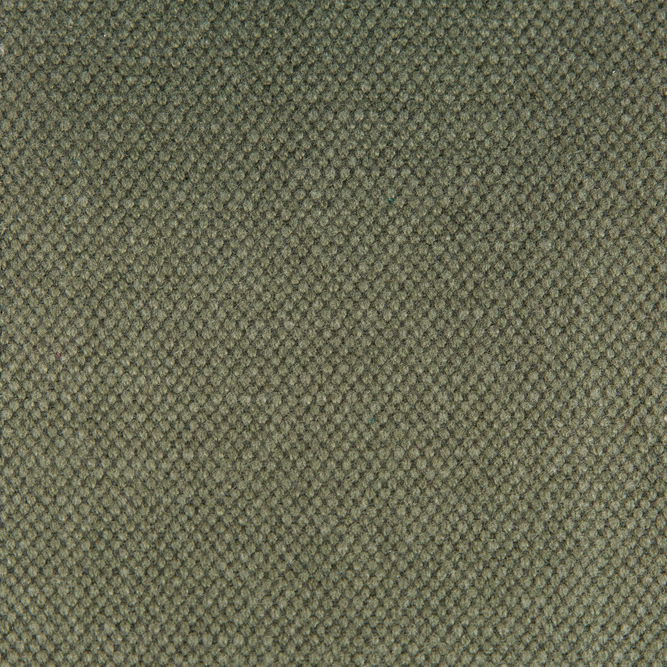 Gast&#243;n y Daniela Lima Kaki Fabric