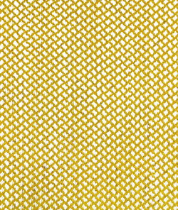 Gastón y Daniela Sabuki Amarillo