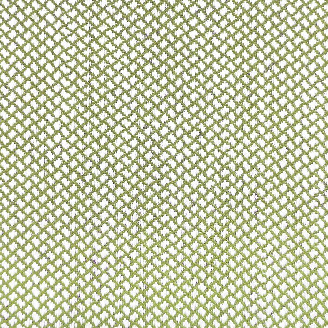 Gast&#243;n y Daniela Sabuki Verde Fabric