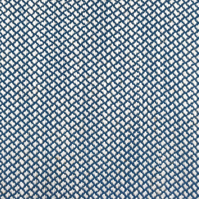 Gast&#243;n y Daniela Sabuki Azul Fabric