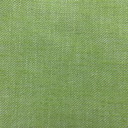 Gaston y Daniela Hisa Verde Manzana Fabric