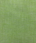 Gastón y Daniela Hisa Verde Manzana Fabric