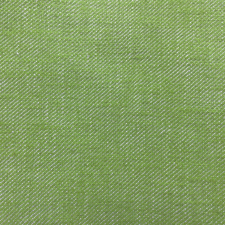 Gastón y Daniela Hisa Verde Manzana Fabric