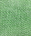 Gastón y Daniela Hisa Verde Fabric