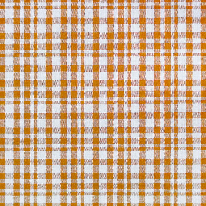 Gast&#243;n y Daniela Drach Blanco/Ocre Fabric