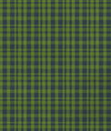 Gastón y Daniela Drach Verde/Azul Fabric