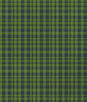 Gastón y Daniela Drach Verde/Azul Fabric