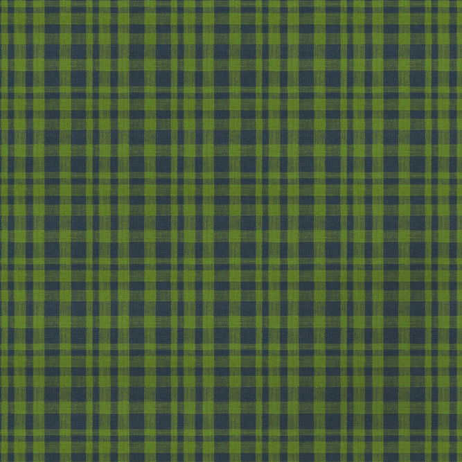 Gast&#243;n y Daniela Drach Verde/Azul Fabric