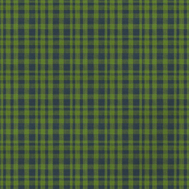 Gastón y Daniela Drach Verde/Azul Fabric