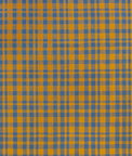 Gastón y Daniela Drach Ocre/Azul Plomo Fabric