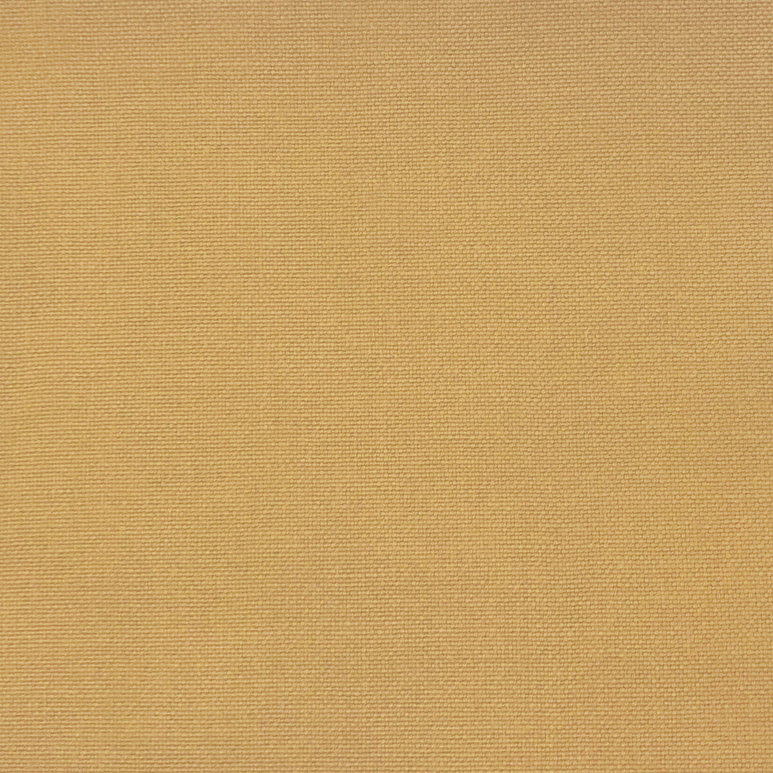 Gastón y Daniela Palma Ocre Fabric