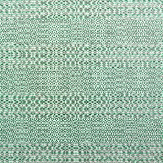 Gast&#243;n y Daniela Kailas Verde Fabric