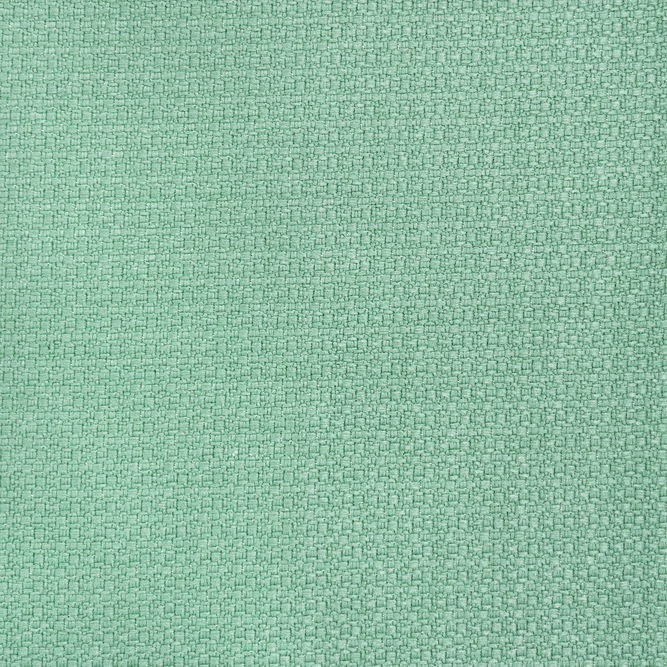 Gast&#243;n y Daniela Lhasa Verde Liquen Fabric