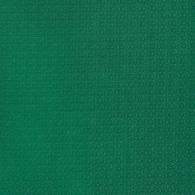 Gast&#243;n y Daniela Lhasa Verde Fabric